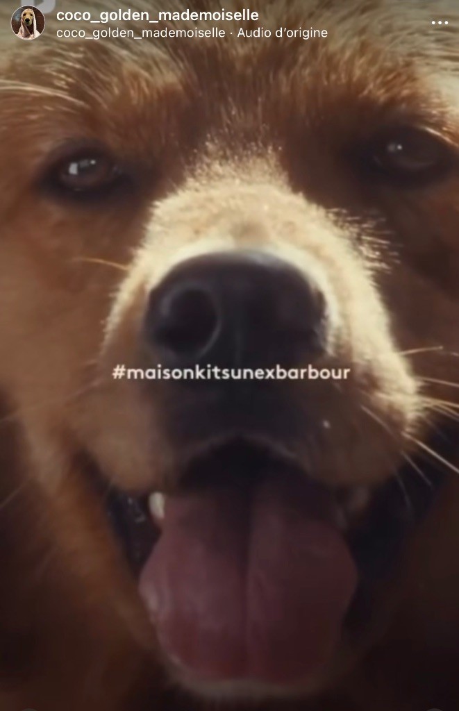 Des Terres De La Commanderie - Publicité Coco Mademoiselle Barbour&Kitsune